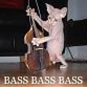 BASS!