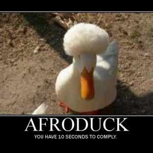afroduck