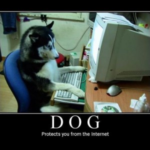 dog