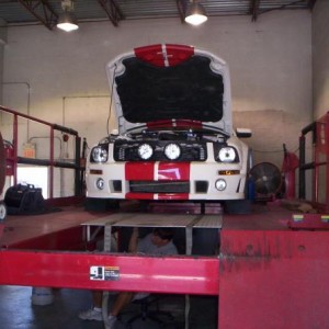 BAMA CHIP DOUGS ROUSH