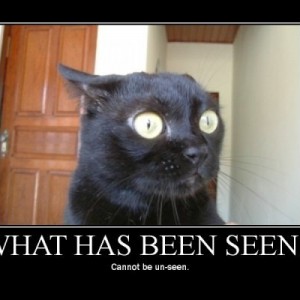 has been seen