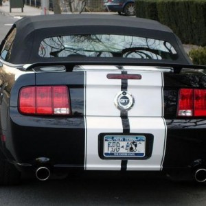 MoStang Rear