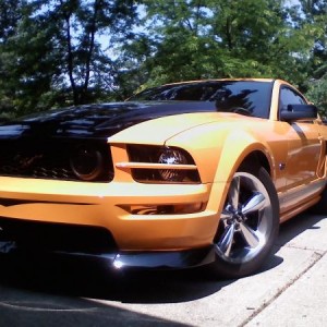 June09Stang