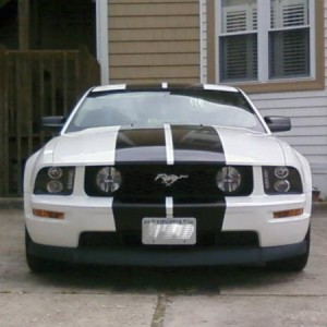 We just finished putting the stripes and chin spoiler on.