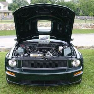2008 Mustang Bullitt 071109 001 sm(2)