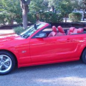 mustang3