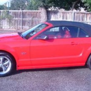 mustang4