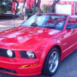 mustang