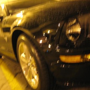 IMG 0699