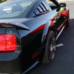 Mustang 094