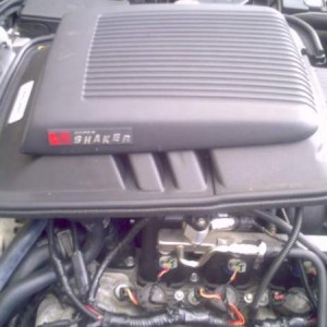 mustang 112