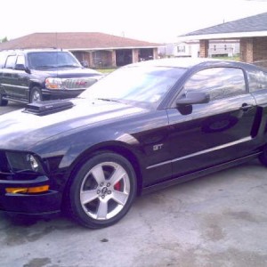 mustang 119