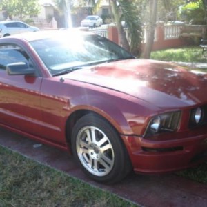 mustang gt