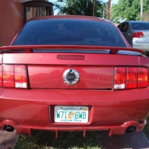 back view