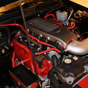 Latest engine bay pic
