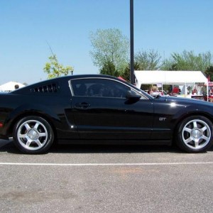 Oklahoma Centennial Mustang National - 1st Place
