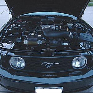 Engine Bay