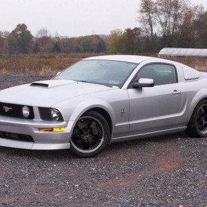 Stang   black wheels