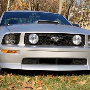 Stang Front