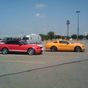JUST GOT A GOOD PIC AT WAL-MART