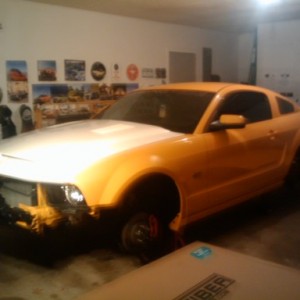 PROJECT CHEEDAR, STILL IN PROGRESS