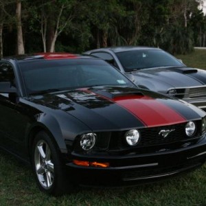 March 22 Mustang Shoot 62