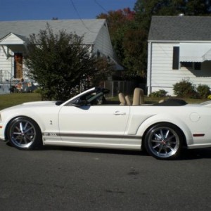 brads stang 001