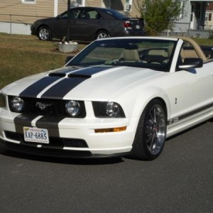 brads stang 002
