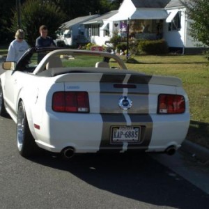 brads stang 009