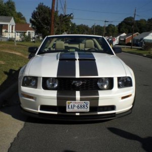 brads stang 010