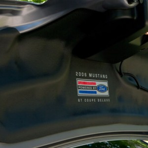 Trunk liner detail shot.