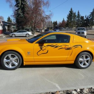american muscle parts 003a
