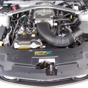 2010 Mustang GT 4.6 Engine
June 2010 
 1000 Miles