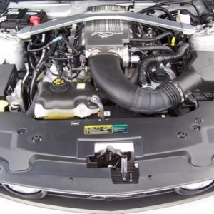 2010 Mustang GT 4.6 Engine
June 2010 
 1000 Miles