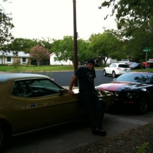 My Mustangs.