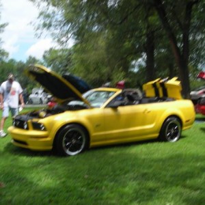 DSCN0484