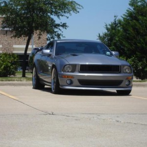 mustang pj