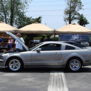 Mustang Week 2010