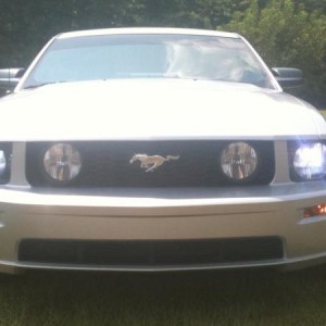 10000k HID's