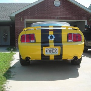 back