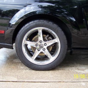 CJ Rear