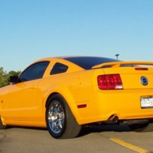 Stang2
