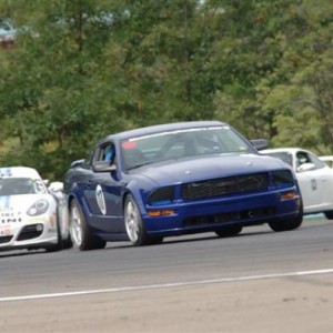 GROUP 52 Mustang & Martini