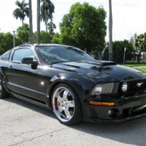 mustang #2