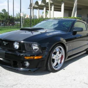 mustang #4