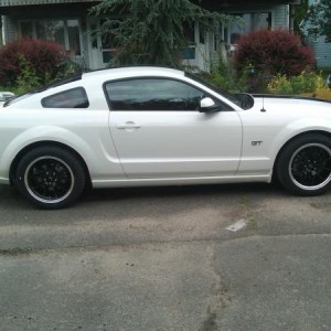 2008 GT
