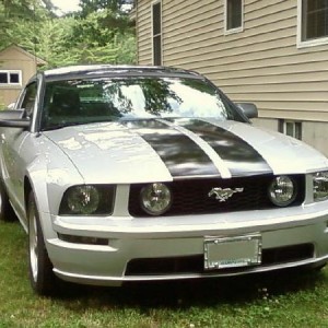 Stang