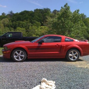 mustang 137