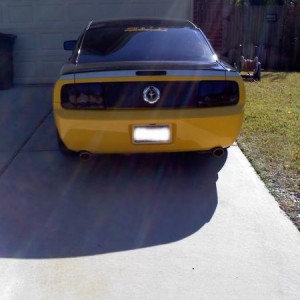 back view