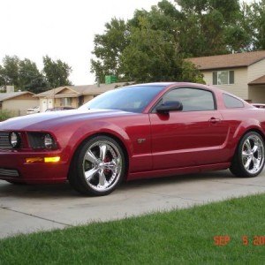 Mustang 001